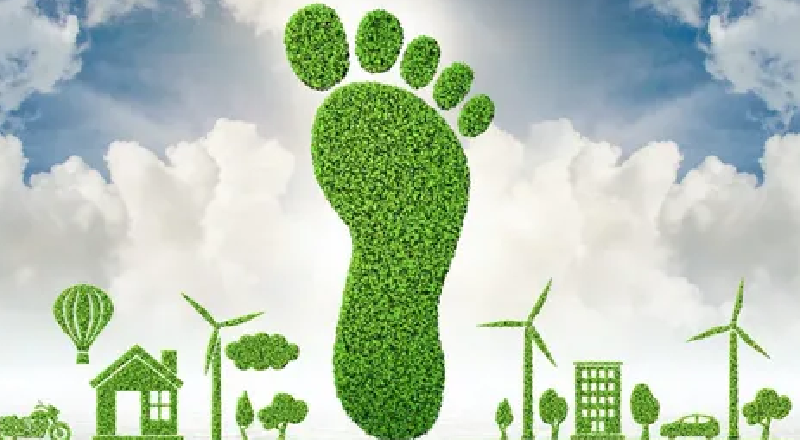 A green grass footprint concept representing carbon footprint reduction and sustainable waste recycling services in Bangalore by Urbane Eco Recyclers